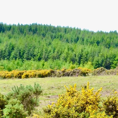 Open Plan Studio Scenic South East - Golfers, Walkers, Fishing, Lejlighed Thomastown (Kilkenny)
