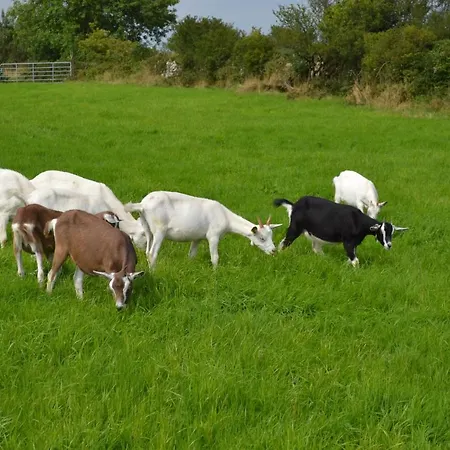 Open Plan Studio Scenic South East - Golfers, Walkers, Fishing, Lejlighed Thomastown (Kilkenny)